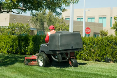 Lawn Care and Maintenance